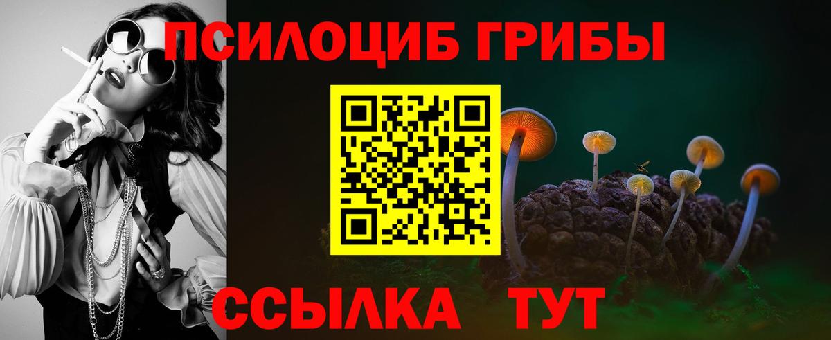 Псилоцибиновые грибы GOLDEN TEACHER  Галлюциногенные грибы мухоморы  Вход с VPN  Мелеуз 